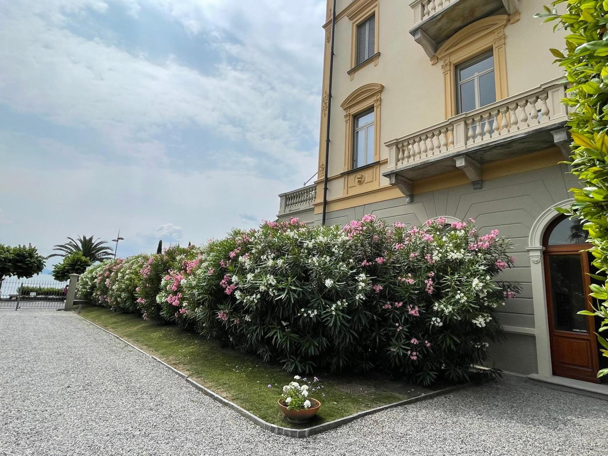 Apartmán Residenza Victoria Menaggio Exteriér fotografie
